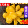 海南三亚新鲜水果黄肉菠萝蜜当季20斤木波罗蜜一整个整箱特产包邮
